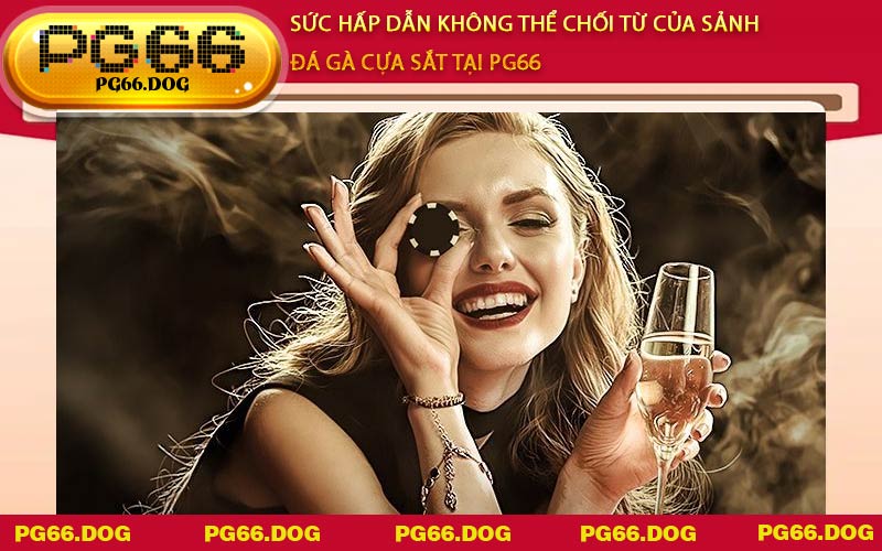 Sức hấp dẫn không thể chối từ của sảnh Đá Gà Cựa Sắt tại PG66