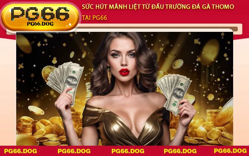 Sức hút mãnh liệt từ đấu trường Đá Gà Thomo tại PG66