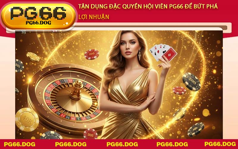 Tận dụng đặc quyền hội viên PG66 để bứt phá lợi nhuận
