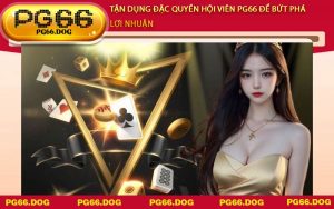 Tận dụng đặc quyền hội viên PG66 để bứt phá lợi nhuận