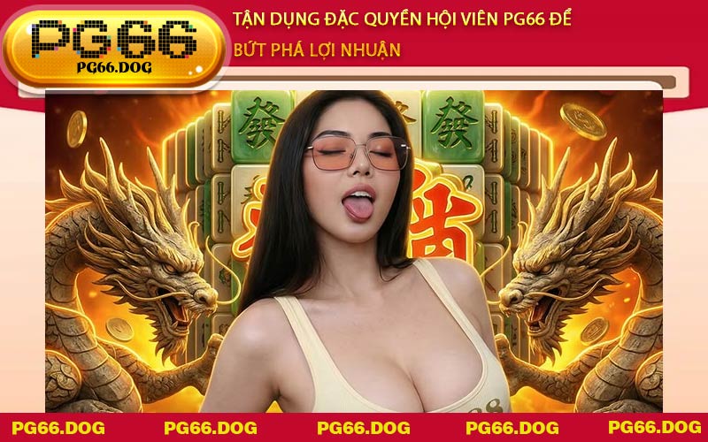 Tận dụng đặc quyền hội viên PG66 để bứt phá lợi nhuận