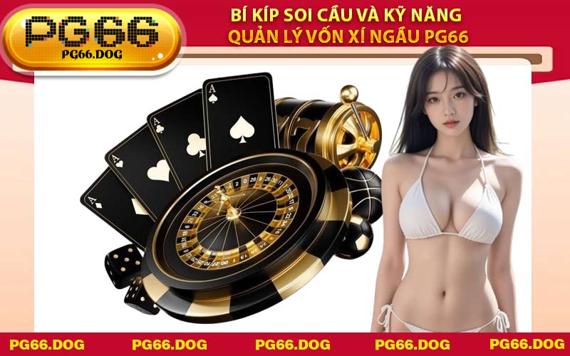 Bí kíp soi cầu và kỹ năng quản lý vốn Xí Ngầu PG66