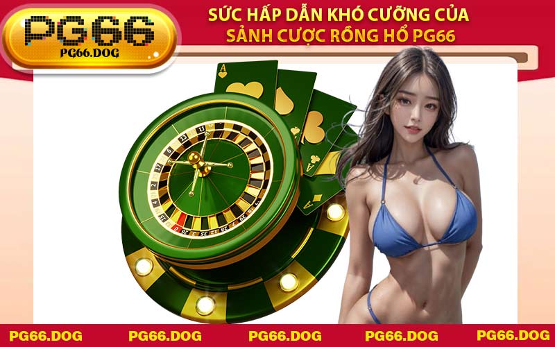 Sức hấp dẫn khó cưỡng của sảnh cược Rồng Hổ PG66