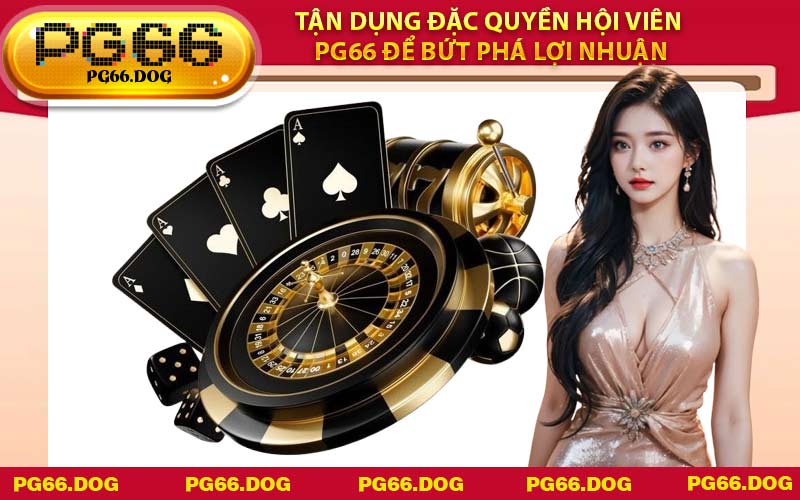 Tận dụng đặc quyền hội viên PG66 để bứt phá lợi nhuận