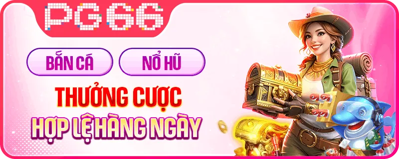 KM PG66 6